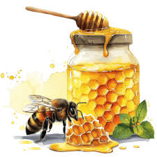 Honey(মধু )