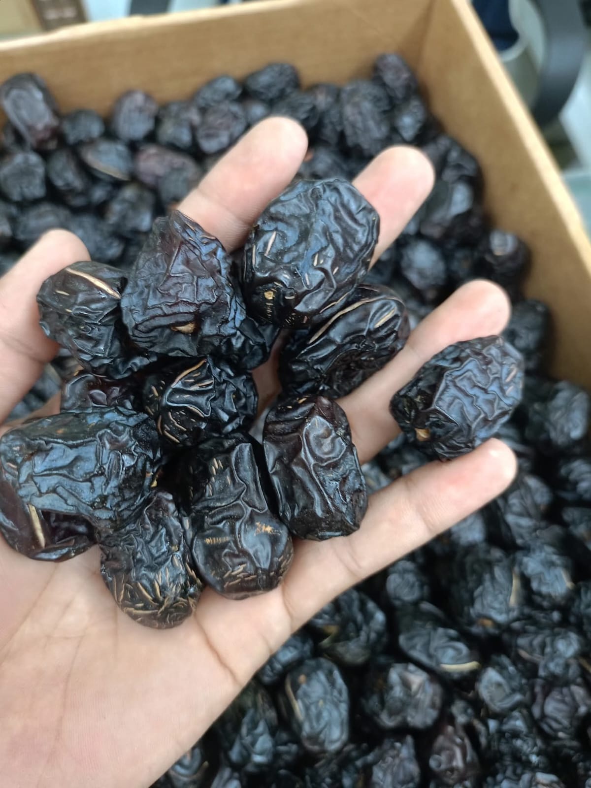 মদিনার ভিআইপি আজওয়া  খেজুর   এক কেজি